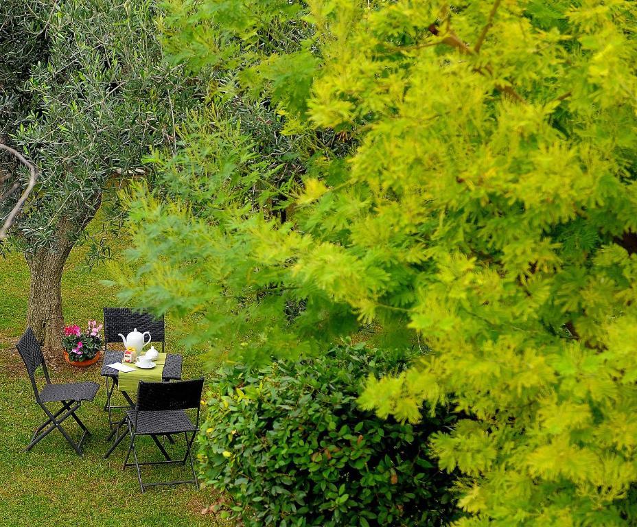 Il Giardino Del Te Hotel Barletta Exterior foto