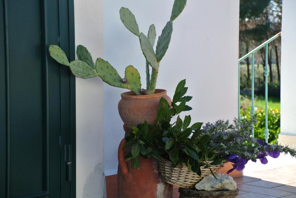 Il Giardino Del Te Hotel Barletta Cameră foto